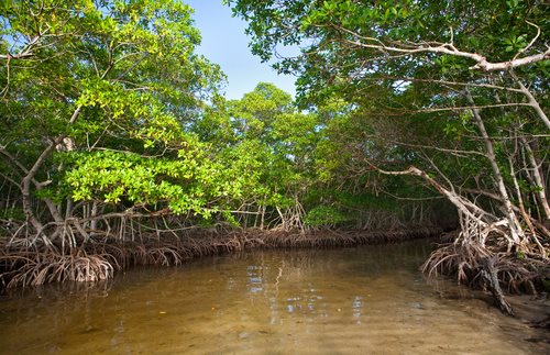 Florida’s Rules against Nutrient Pollution Approved - LAWS.com