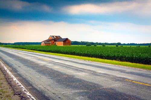 Organic Dairy Farms Help Farmers and Local Economies