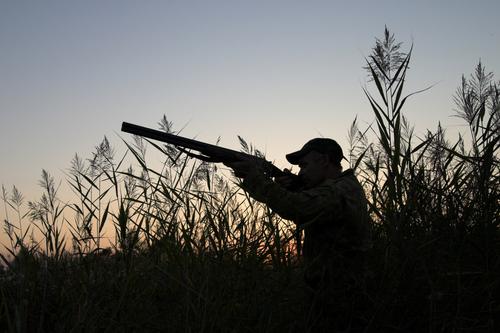 Senate Strikes Down Sportsmen’s Act of 2012